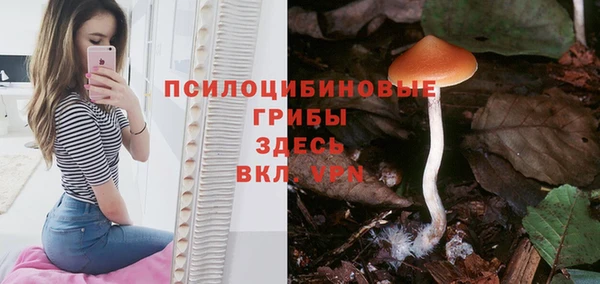 сатива Баксан