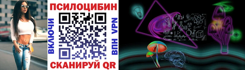 Галлюциногенные грибы Psilocybe где найти shop формула Оленегорск